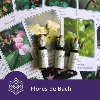 Flores de Bach