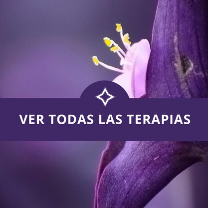 Ver Terapias